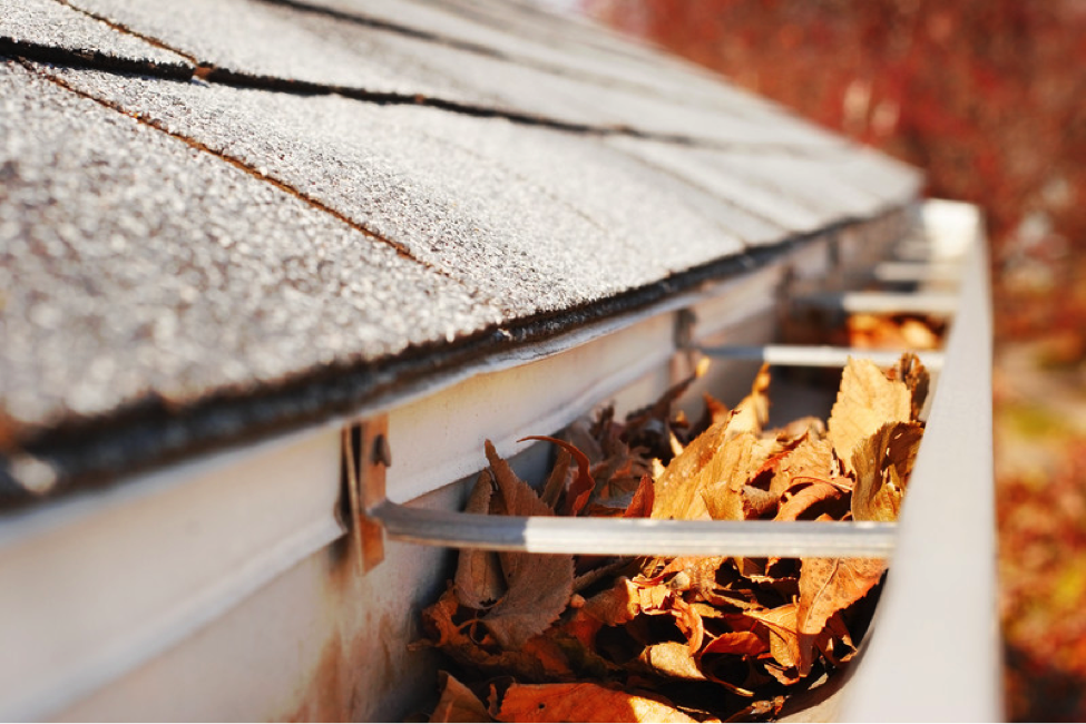 Gutter Cleaning | Roof Repair Line